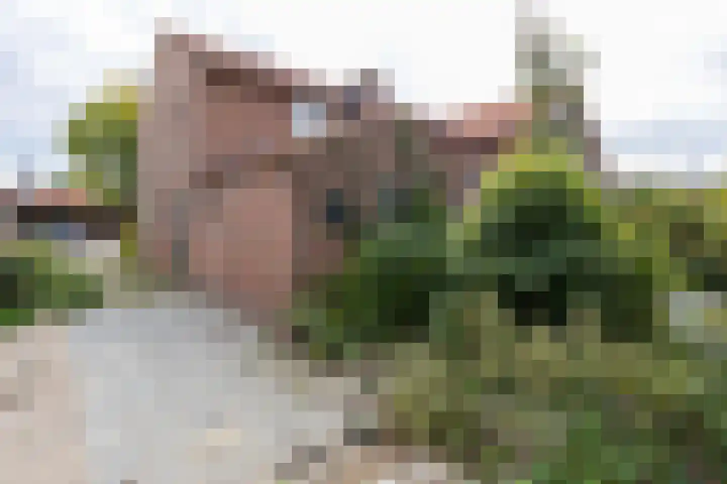 Bernhardstraat 15 Groenlo thumbnail 36