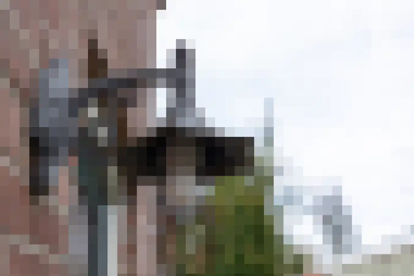 Bernhardstraat 15 Groenlo thumbnail 8