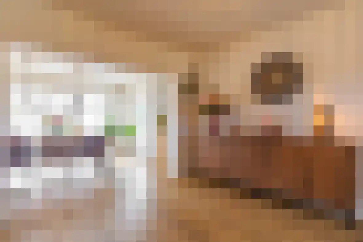 Bernhardstraat 16 Beek thumbnail 11