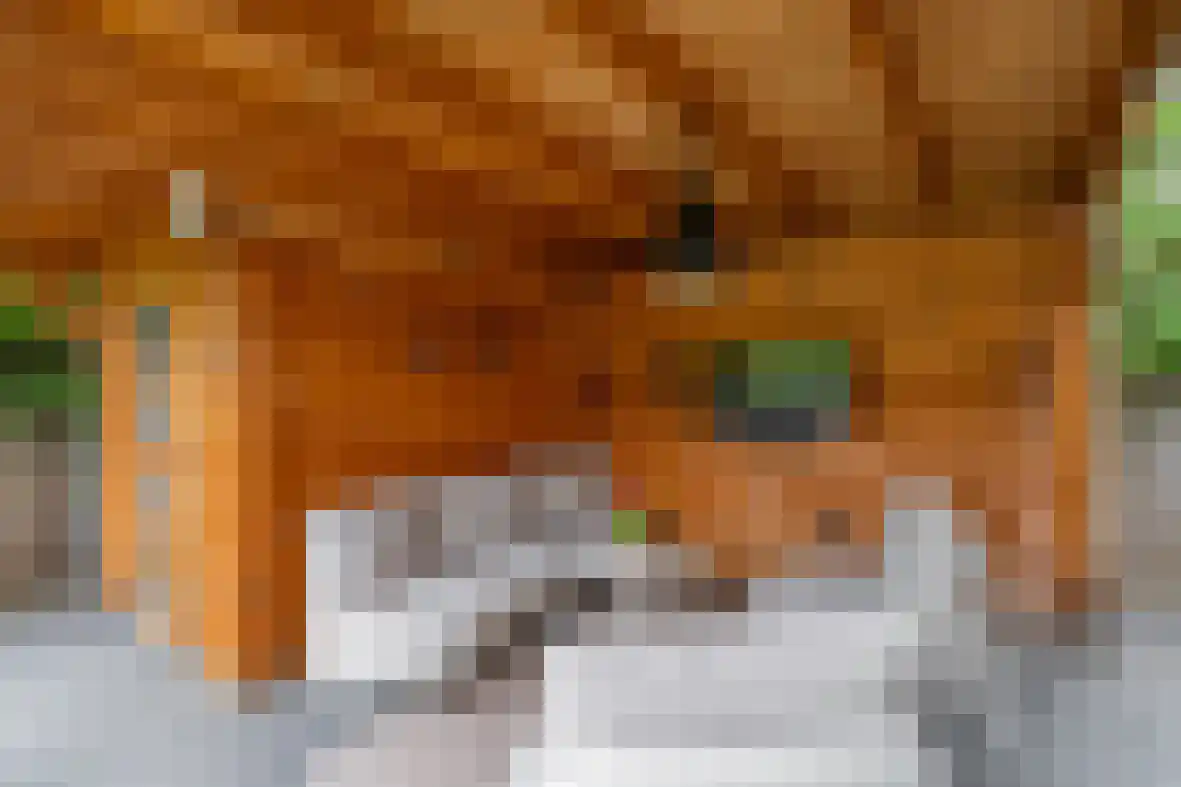 Bernhardstraat 16 Beek thumbnail 32