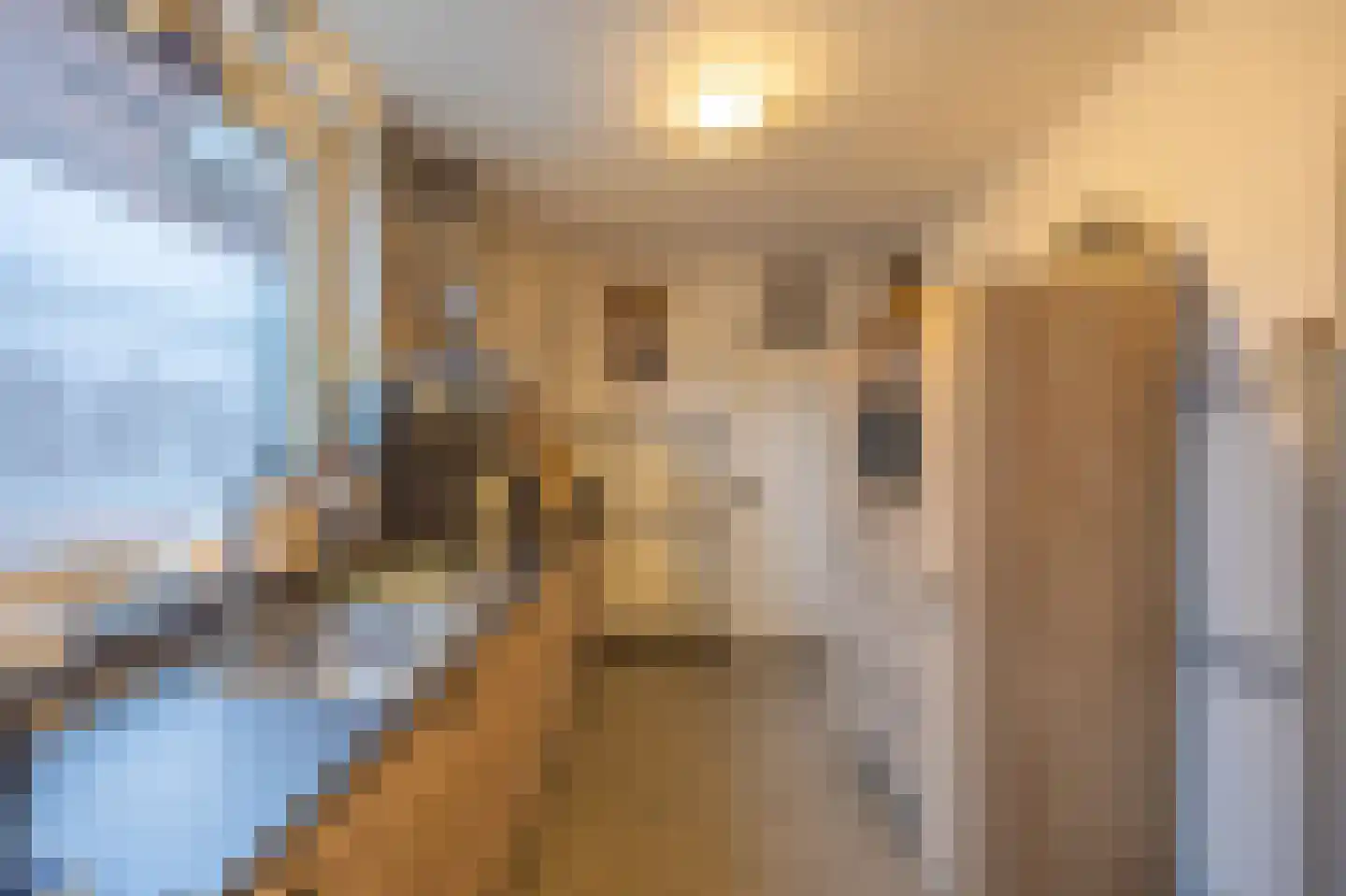 Bernhardstraat 16 Meerlo thumbnail 11