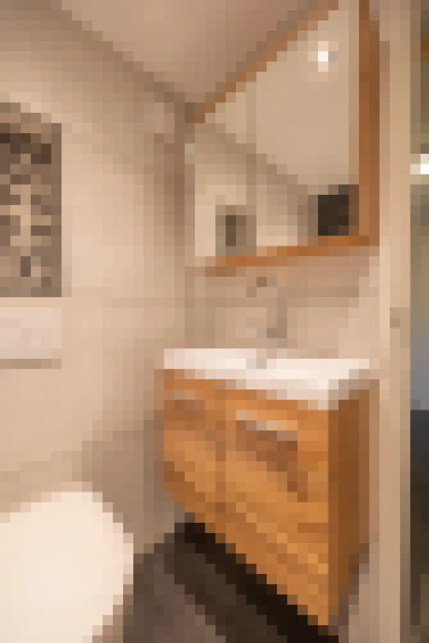 Bernhardstraat 16 Meerlo thumbnail 14