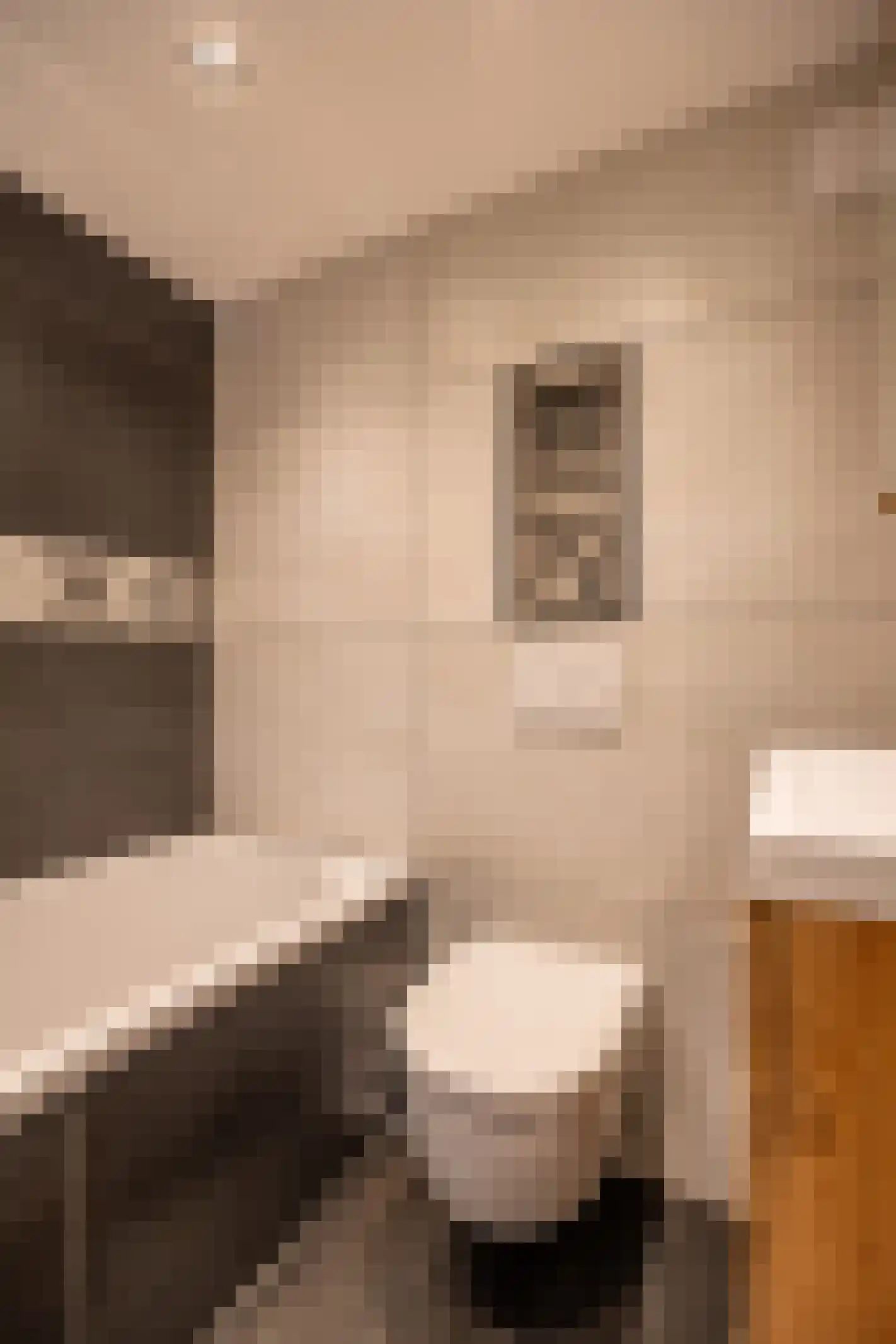 Bernhardstraat 16 Meerlo thumbnail 15