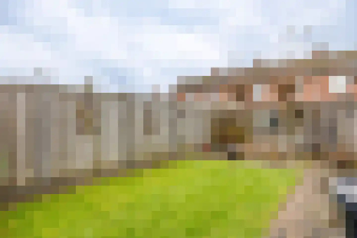 Bernhardstraat 16 Meerlo thumbnail 22