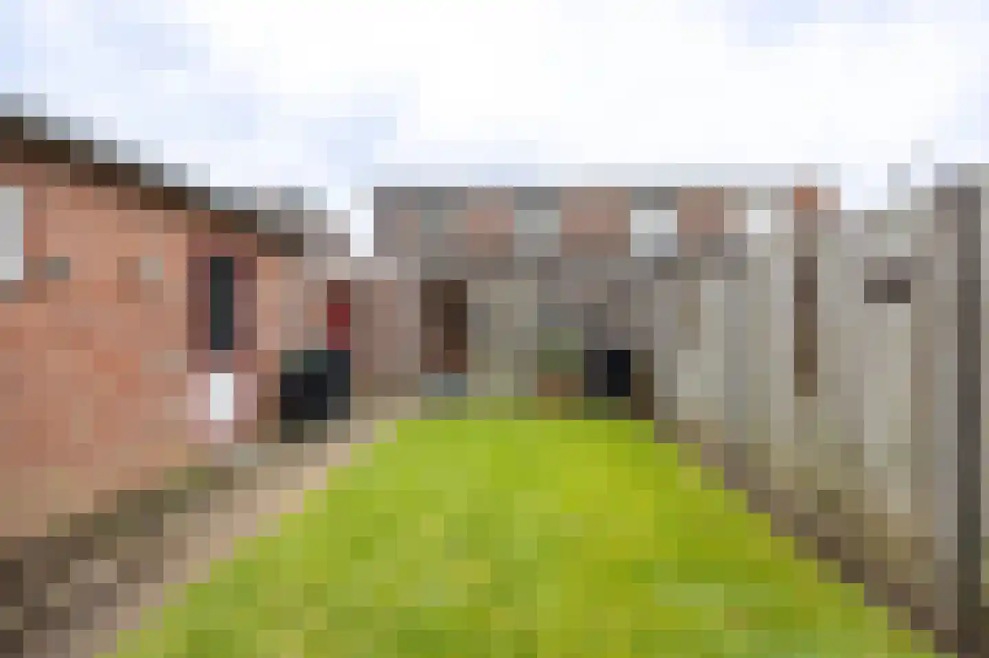 Bernhardstraat 16 Meerlo thumbnail 24