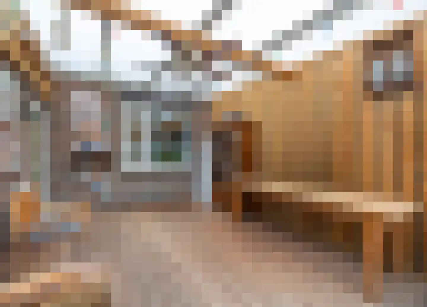 Bernhardstraat 16 Meerlo thumbnail 25