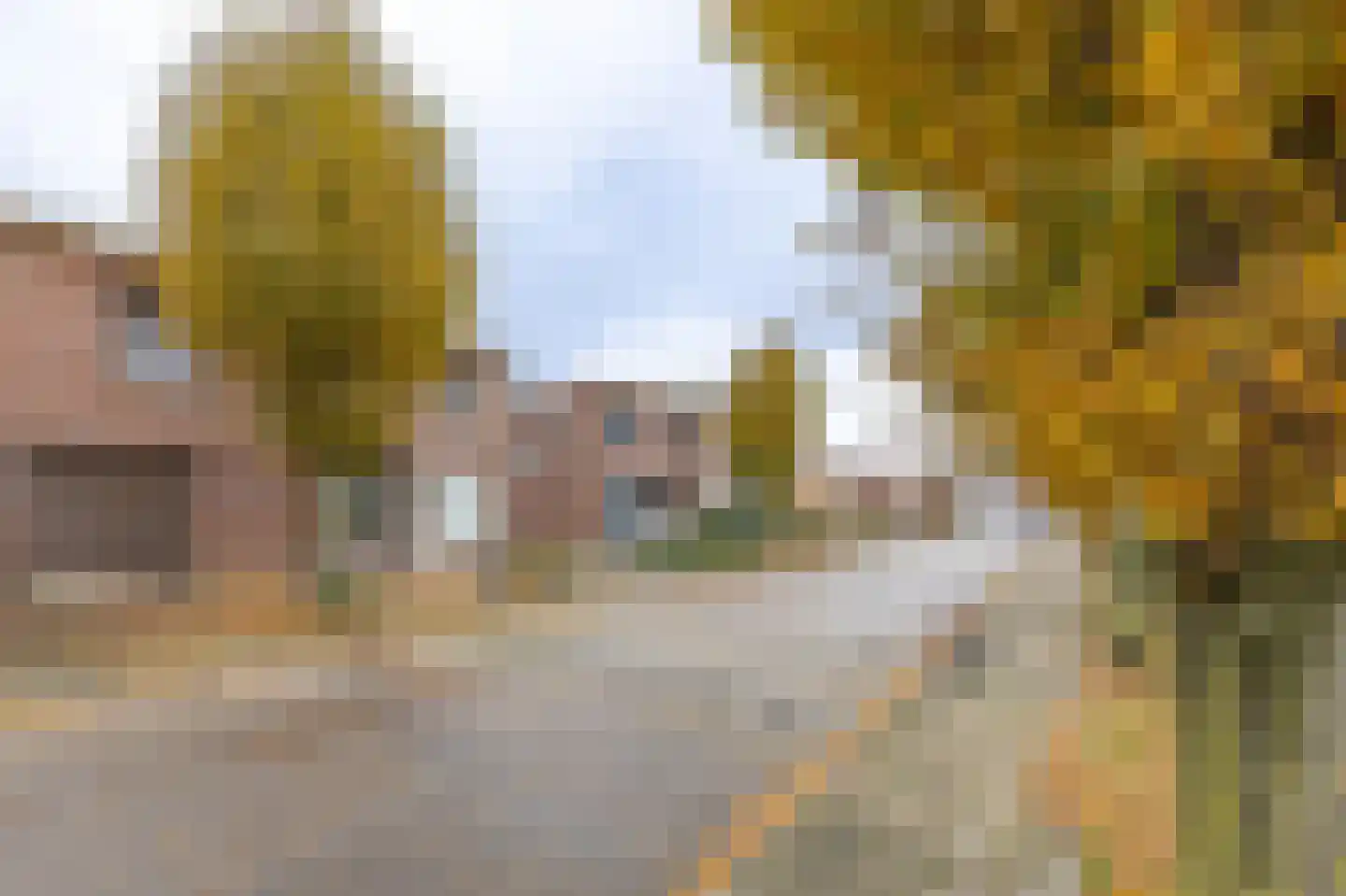 Bernhardstraat 16 Meerlo thumbnail 4