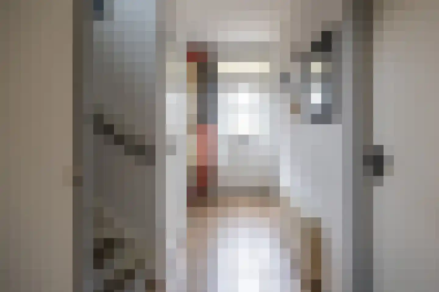 Bernhardstraat 16 Meerlo thumbnail 6