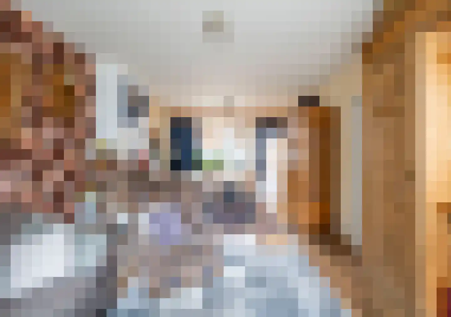 Bernhardstraat 16 Meerlo thumbnail 8