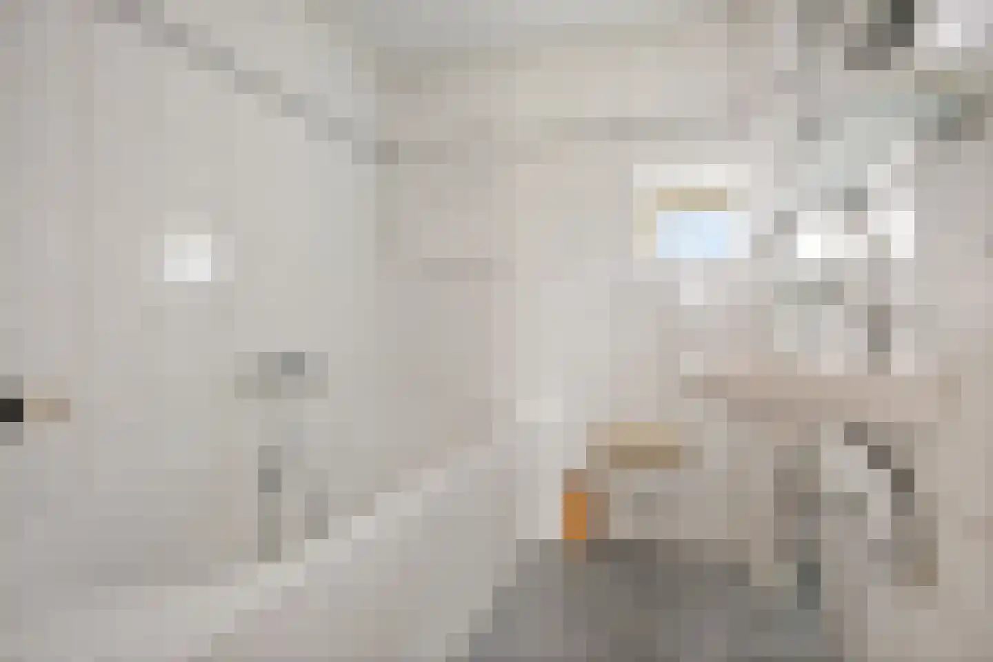 Bernhardstraat 17 B Avenhorn thumbnail 17