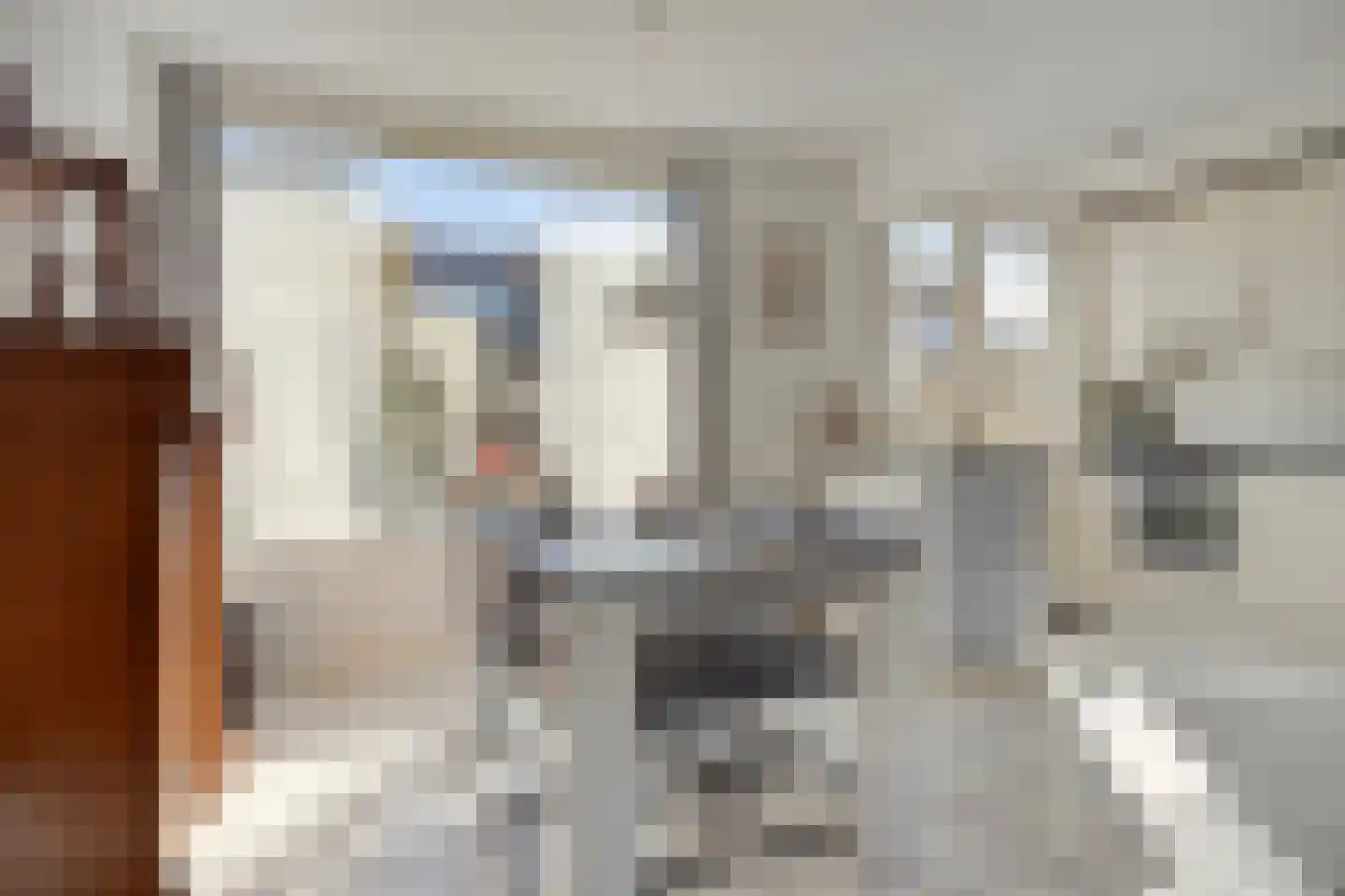 Bernhardstraat 17 Zoeterwoude thumbnail 7