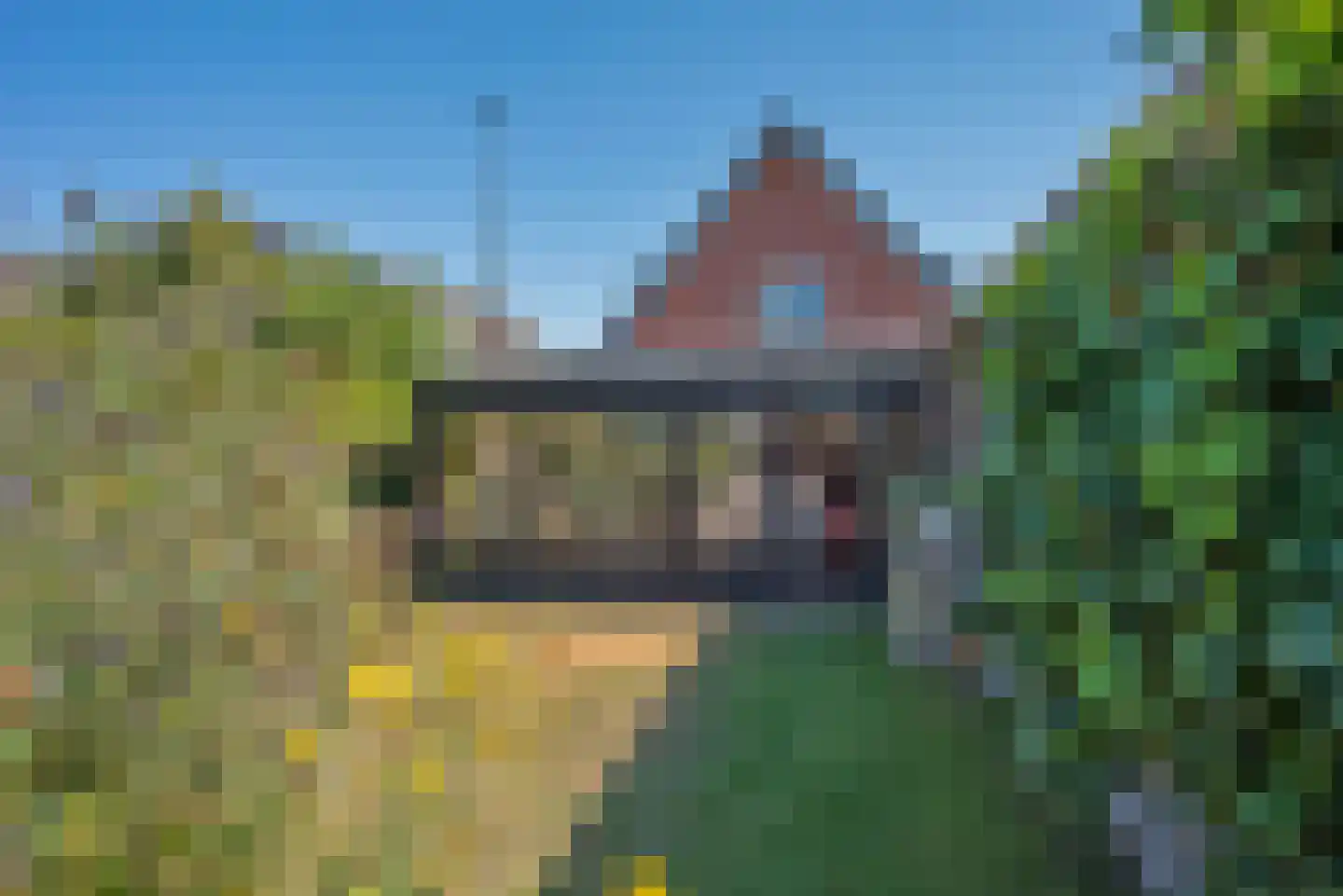 Bernhardstraat 18 Delden thumbnail 40