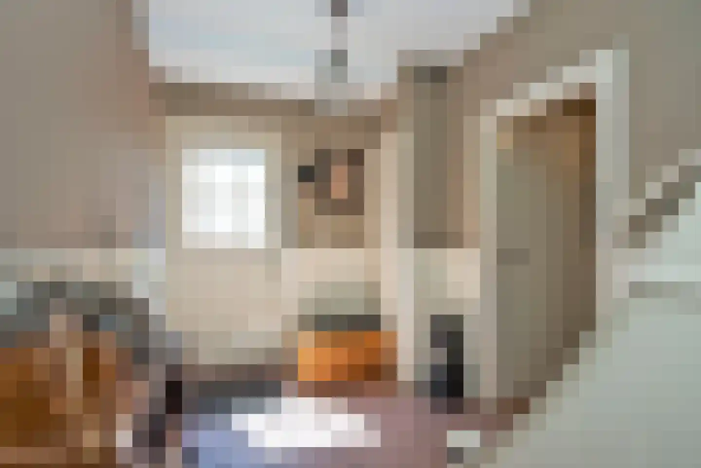 Bernhardstraat 18 Delden thumbnail 7
