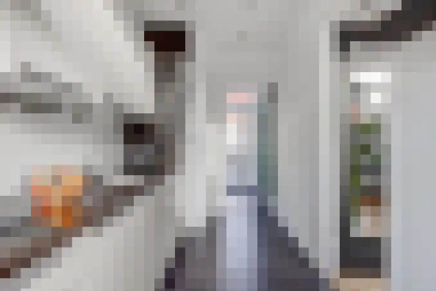 Bernhardstraat 18 Yerseke thumbnail 10