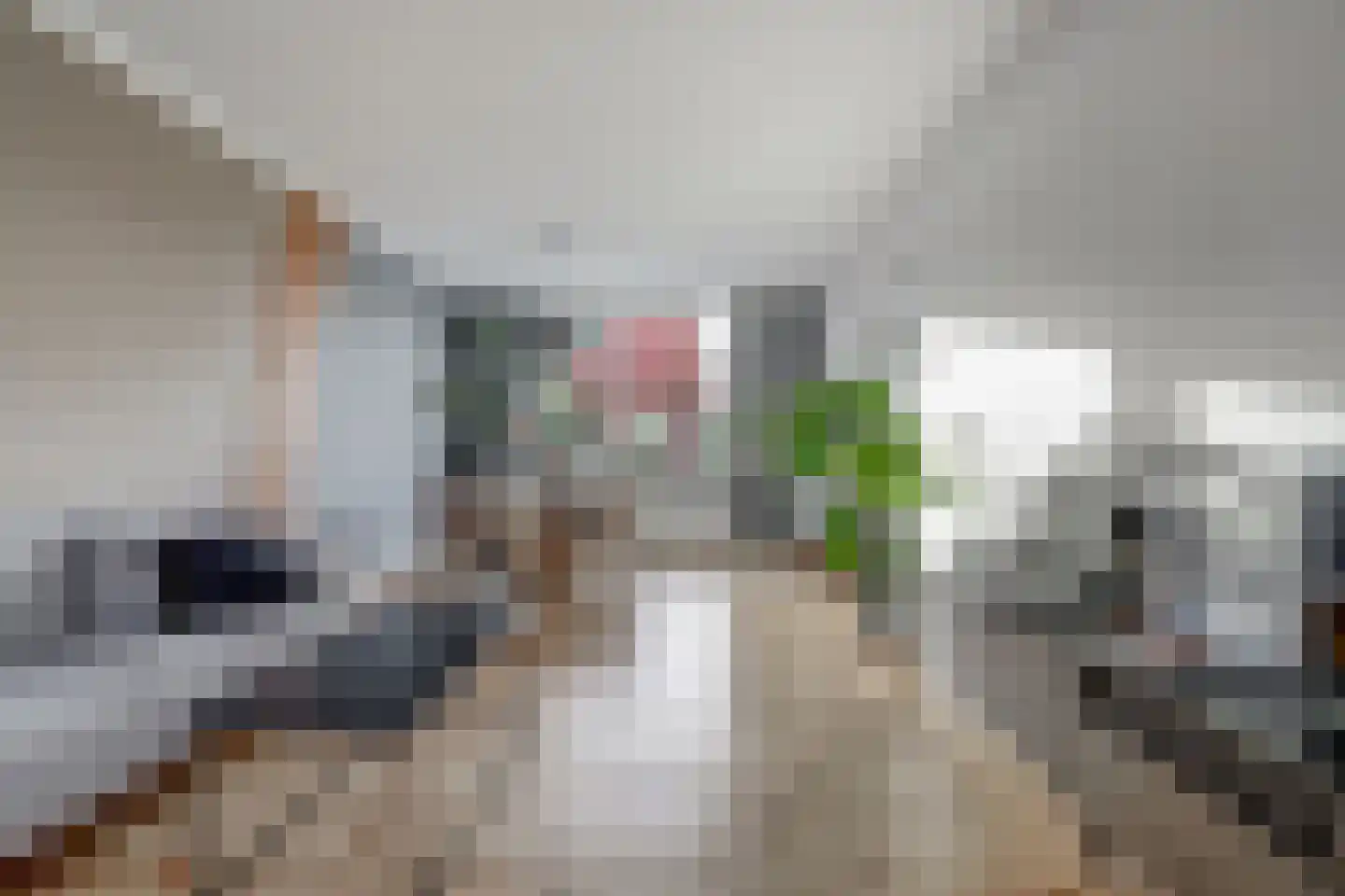 Bernhardstraat 18 Yerseke thumbnail 6