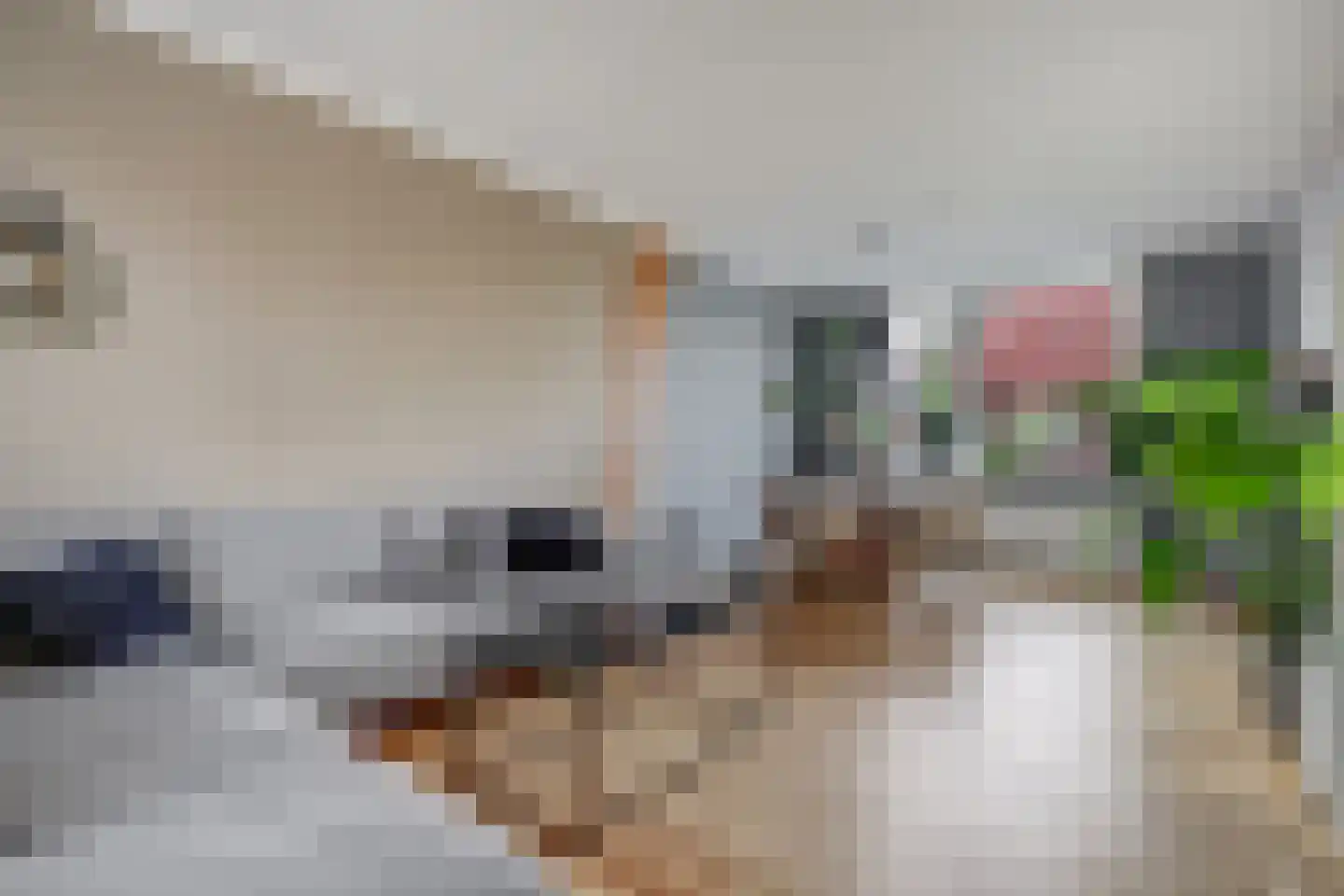 Bernhardstraat 18 Yerseke thumbnail 7