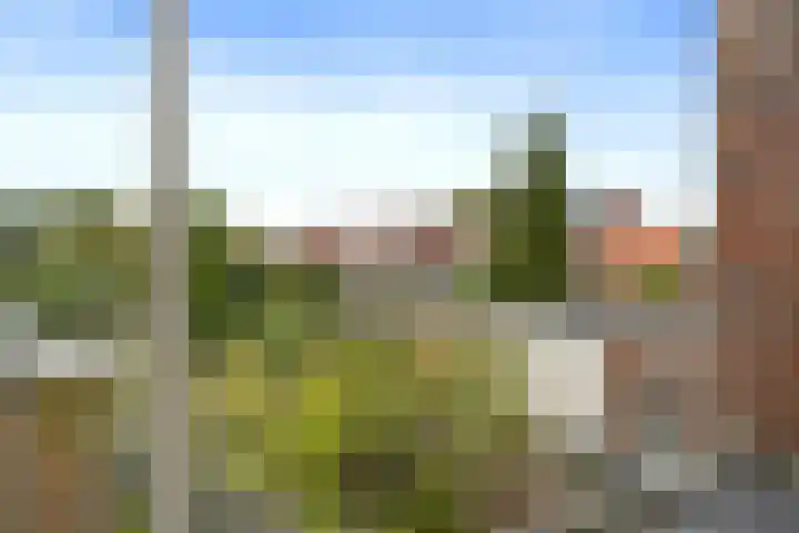 Bernhardstraat 19 Haelen thumbnail 16