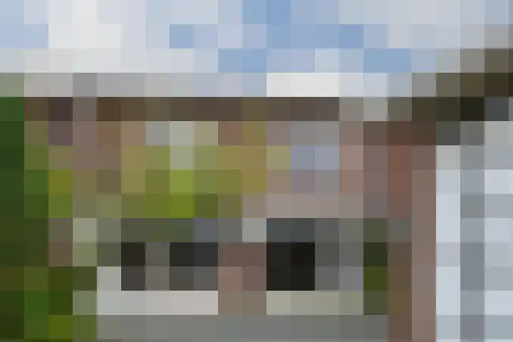 Bernhardstraat 19 Haelen thumbnail 20