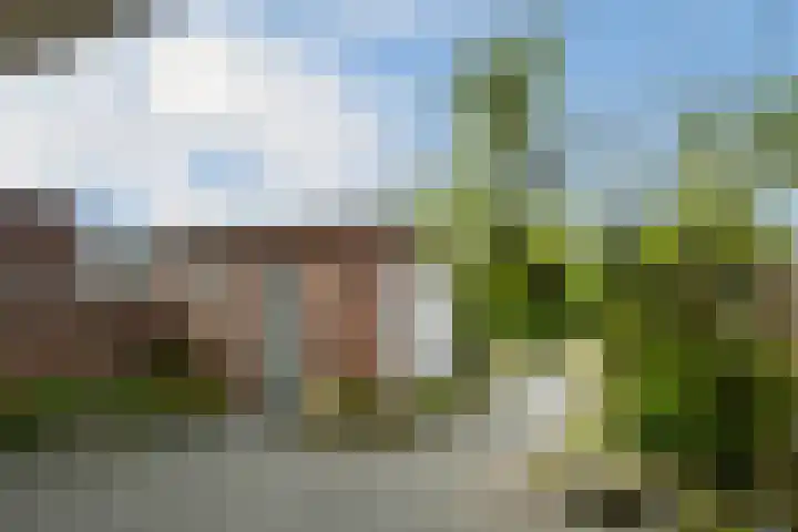 Bernhardstraat 19 Haelen thumbnail 22