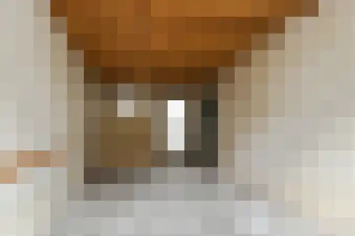 Bernhardstraat 19 Haelen thumbnail 24