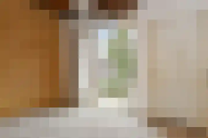 Bernhardstraat 19 Haelen thumbnail 9
