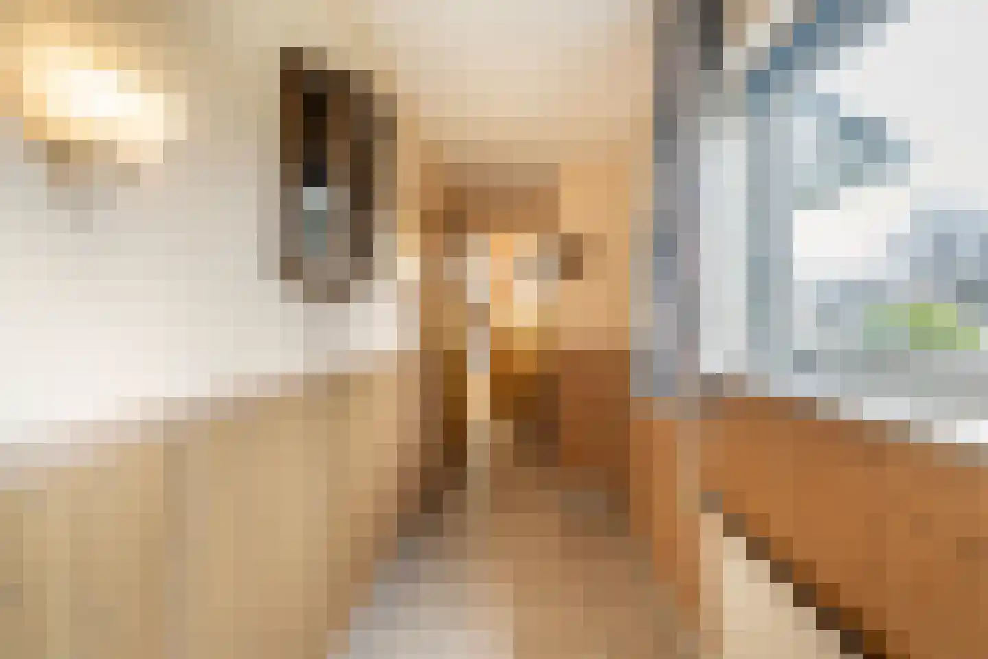 Bernhardstraat 2 Poortvliet thumbnail 14