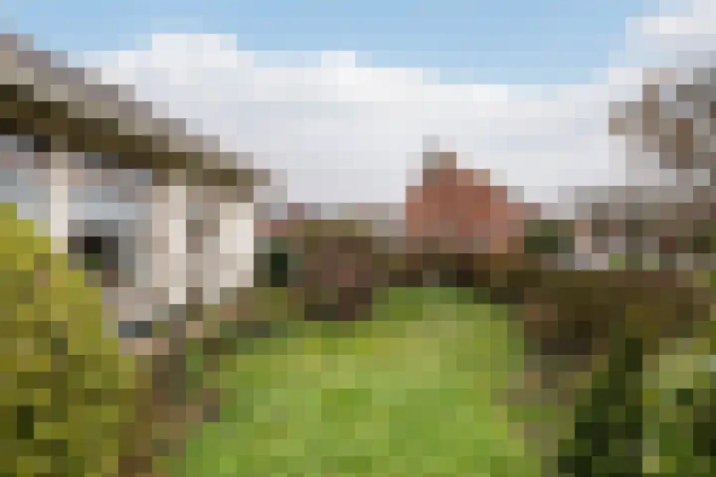 Bernhardstraat 2 Poortvliet thumbnail 9
