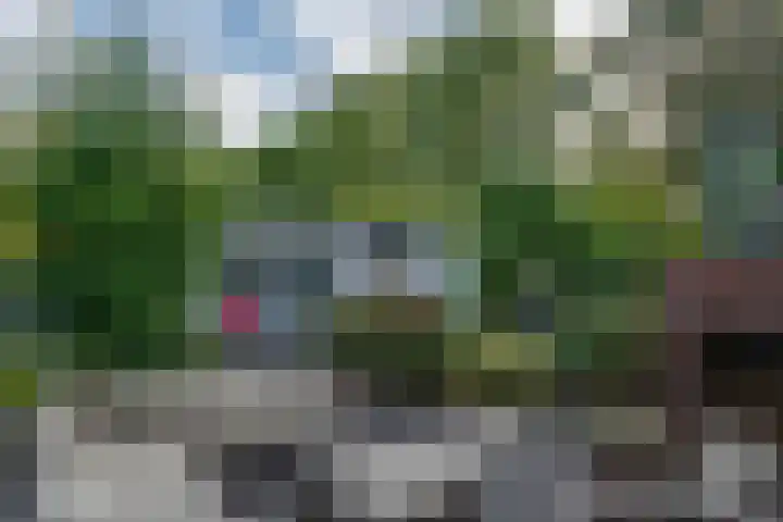 Bernhardstraat 2 Son en Breugel thumbnail 46