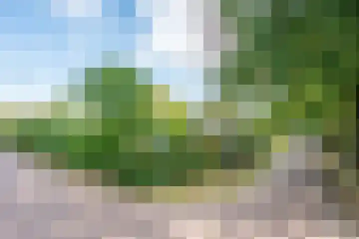 Bernhardstraat 2 Son en Breugel thumbnail 6