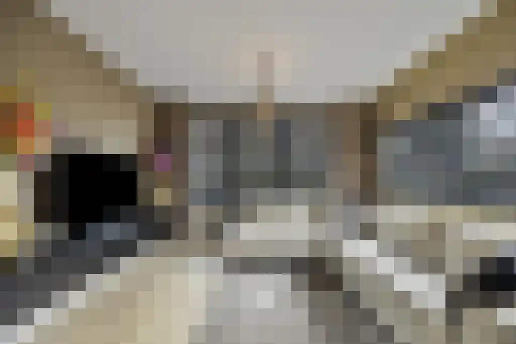 Bernhardstraat 20 Rhoon thumbnail 8