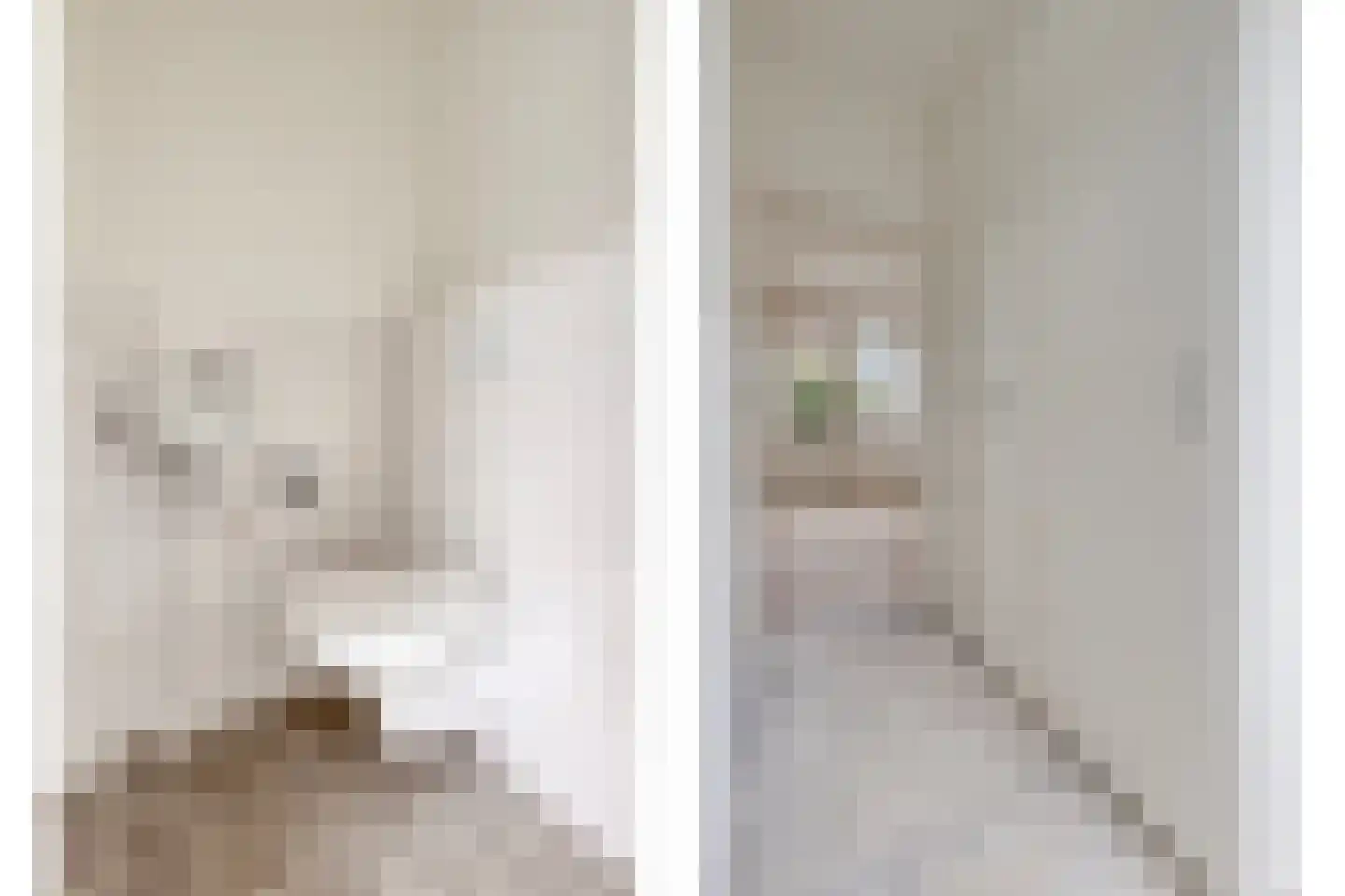 Bernhardstraat 20 Westdorpe thumbnail 11