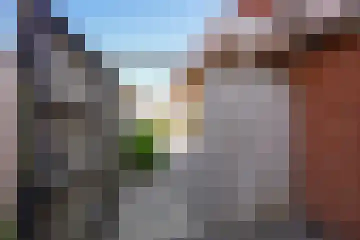 Bernhardstraat 21 Urmond thumbnail 23