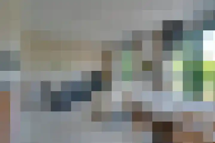 Bernhardstraat 22 De Rijp thumbnail 15