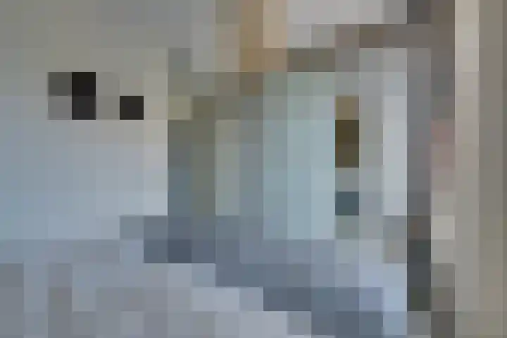 Bernhardstraat 22 De Rijp thumbnail 23