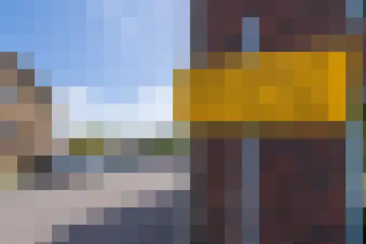 Bernhardstraat 22 De Rijp thumbnail 29