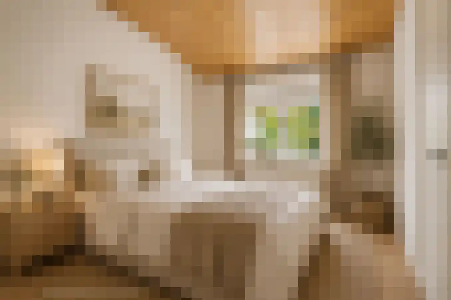 Bernhardstraat 22 Kortgene thumbnail 16