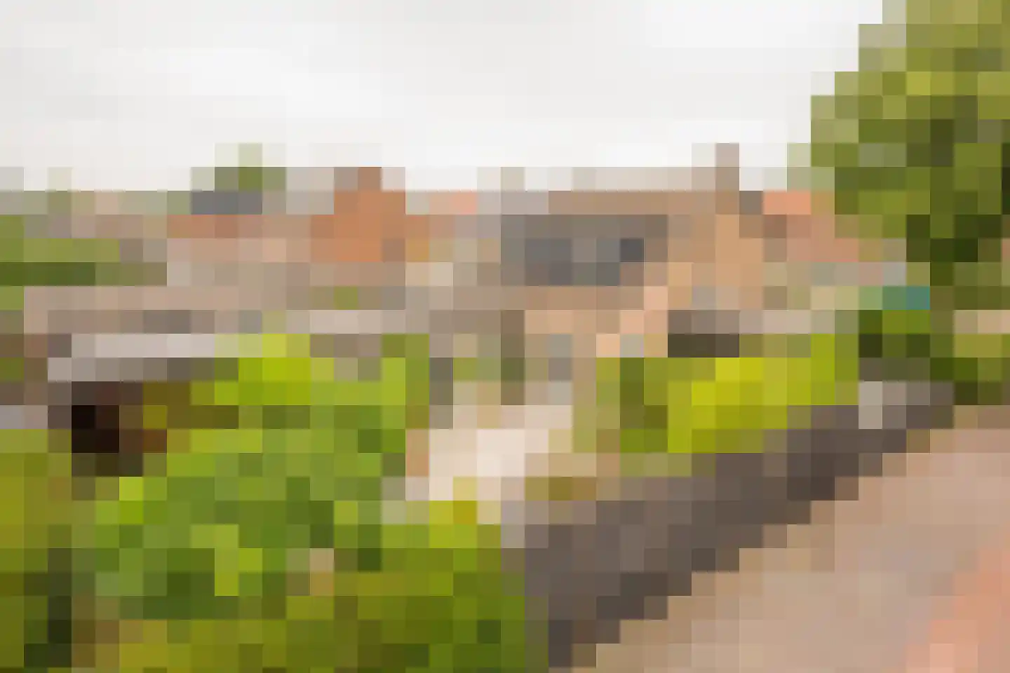 Bernhardstraat 22 Nijkerk thumbnail 31