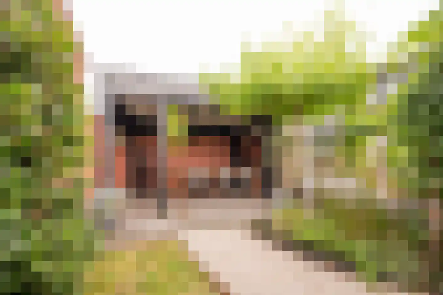 Bernhardstraat 22 Nijkerk thumbnail 38
