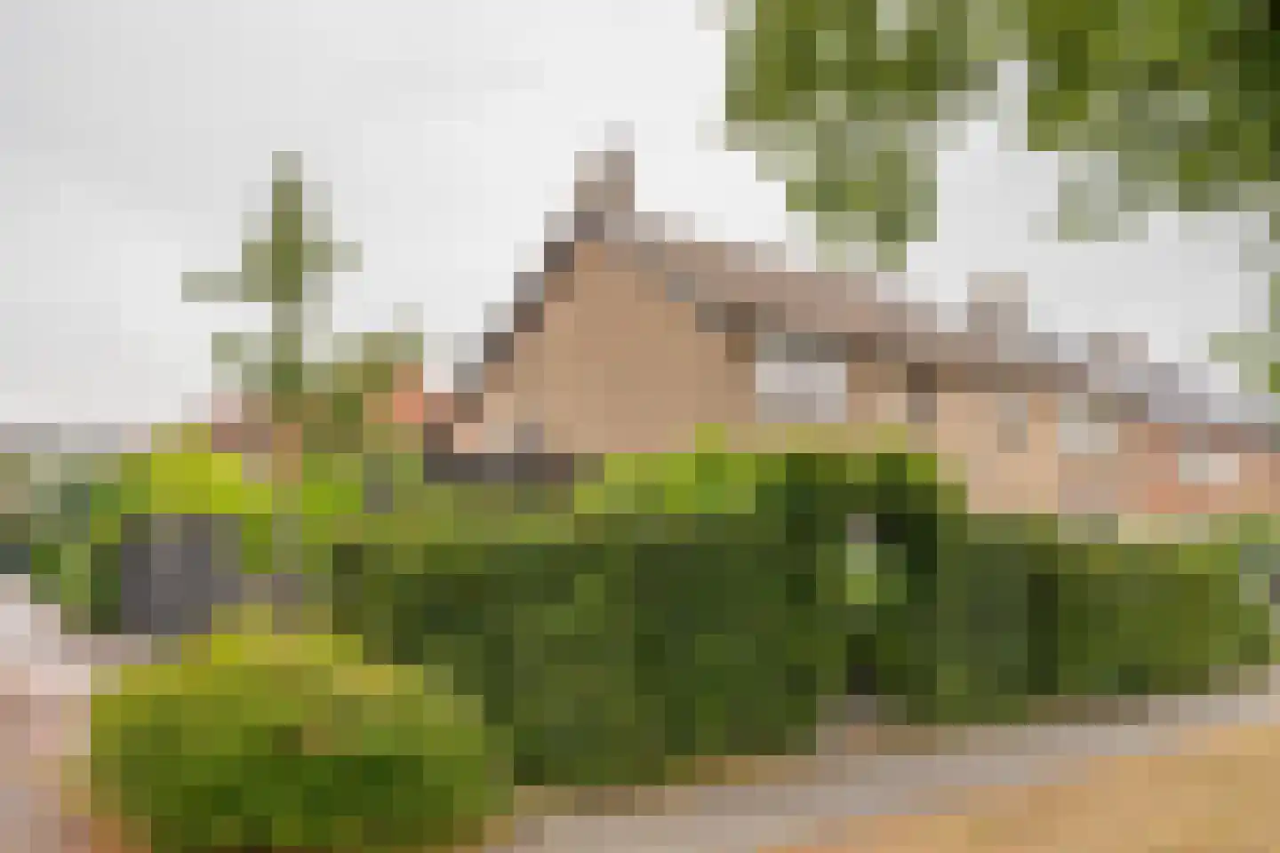 Bernhardstraat 22 Nijkerk thumbnail 42
