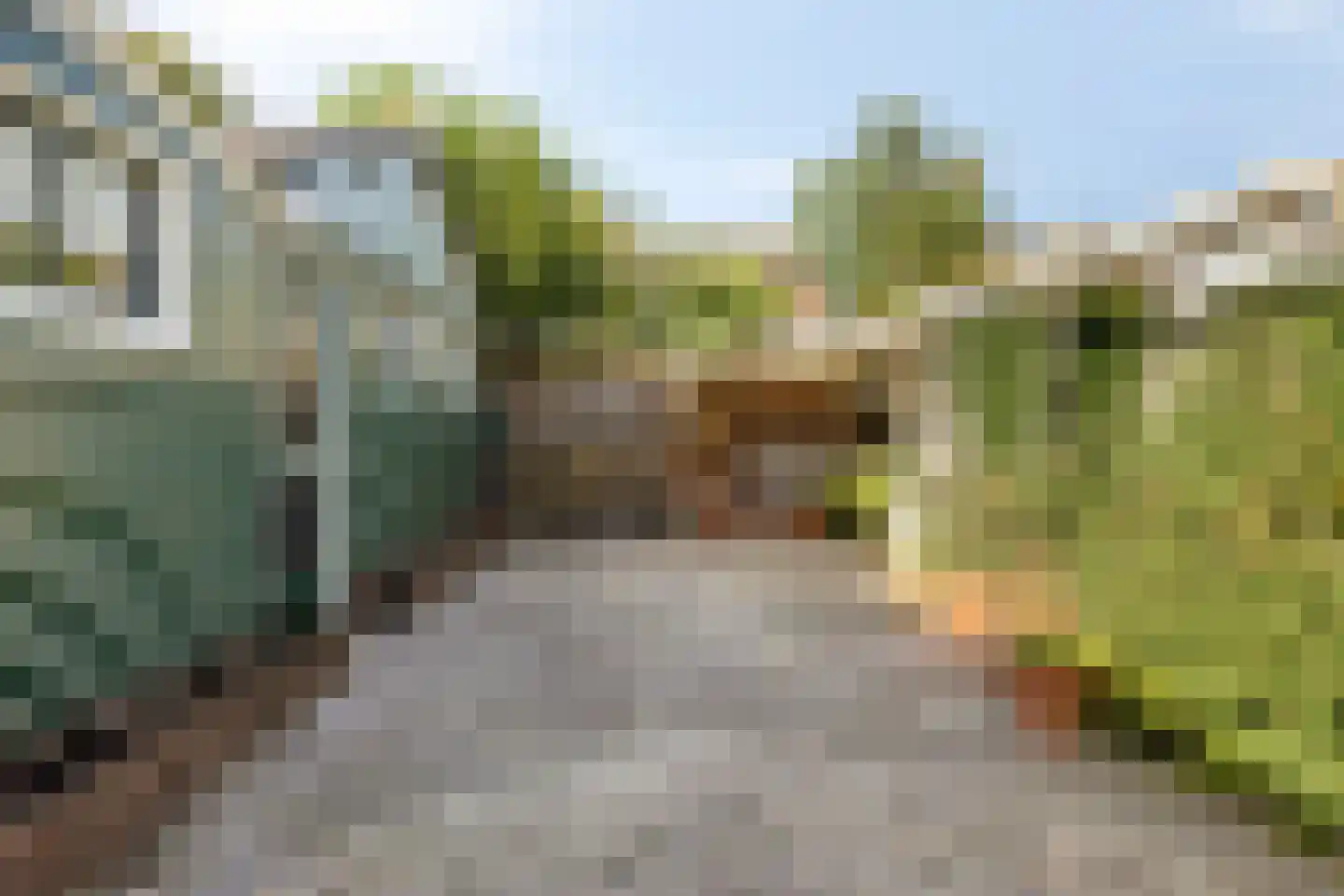 Bernhardstraat 23 Avenhorn thumbnail 24