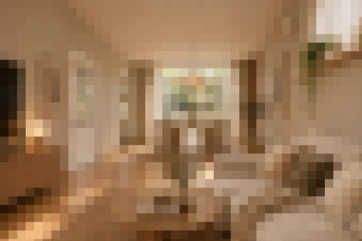 Bernhardstraat 23 Avenhorn thumbnail 5