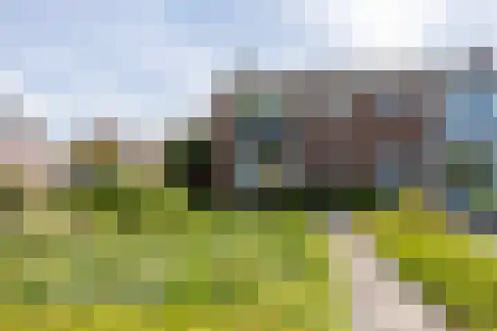 Bernhardstraat 23 De Rijp thumbnail 41