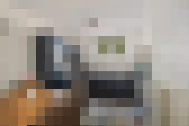 Bernhardstraat 24 Boekel thumbnail 4