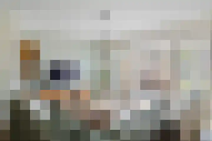 Bernhardstraat 24 Boekel thumbnail 8