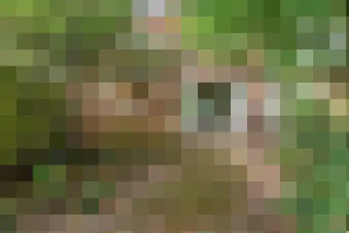 Bernhardstraat 24 Leiderdorp thumbnail 30