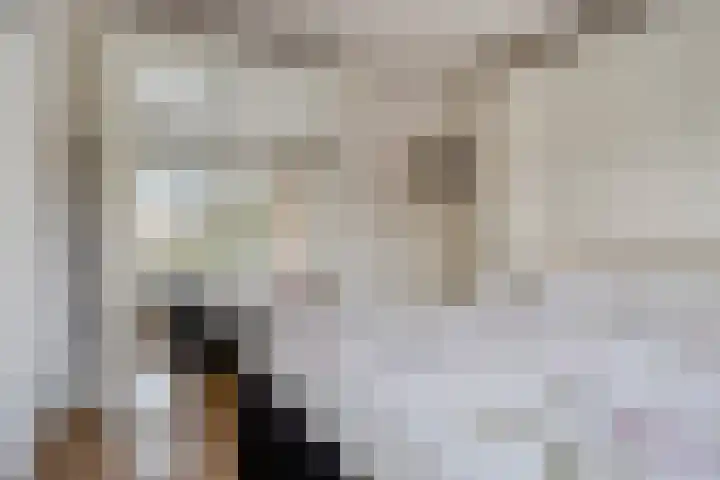 Bernhardstraat 24 Riel thumbnail 23