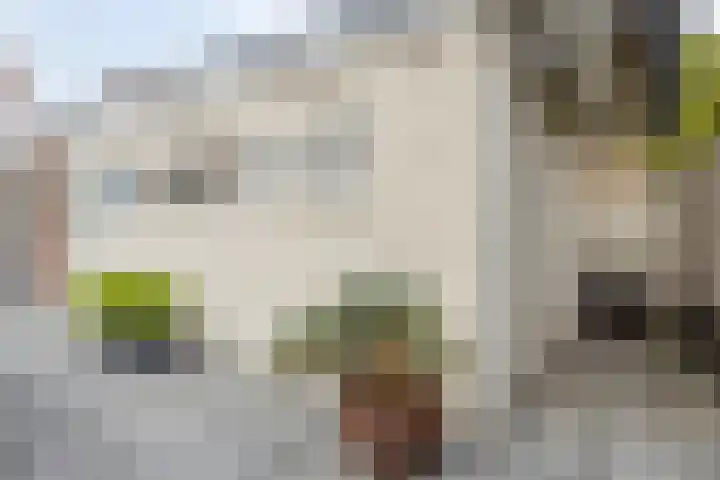 Bernhardstraat 24 Riel thumbnail 32