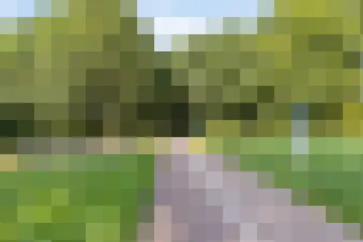 Bernhardstraat 24 Riel thumbnail 37