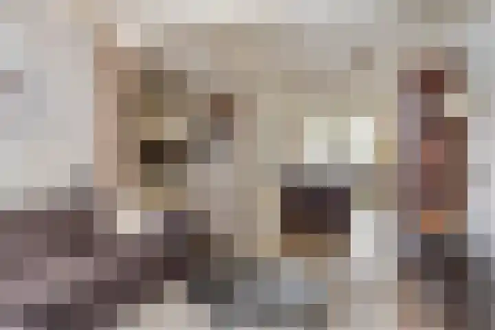 Bernhardstraat 24 Riel thumbnail 4