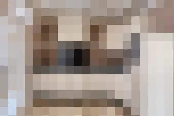 Bernhardstraat 24 Riel thumbnail 5
